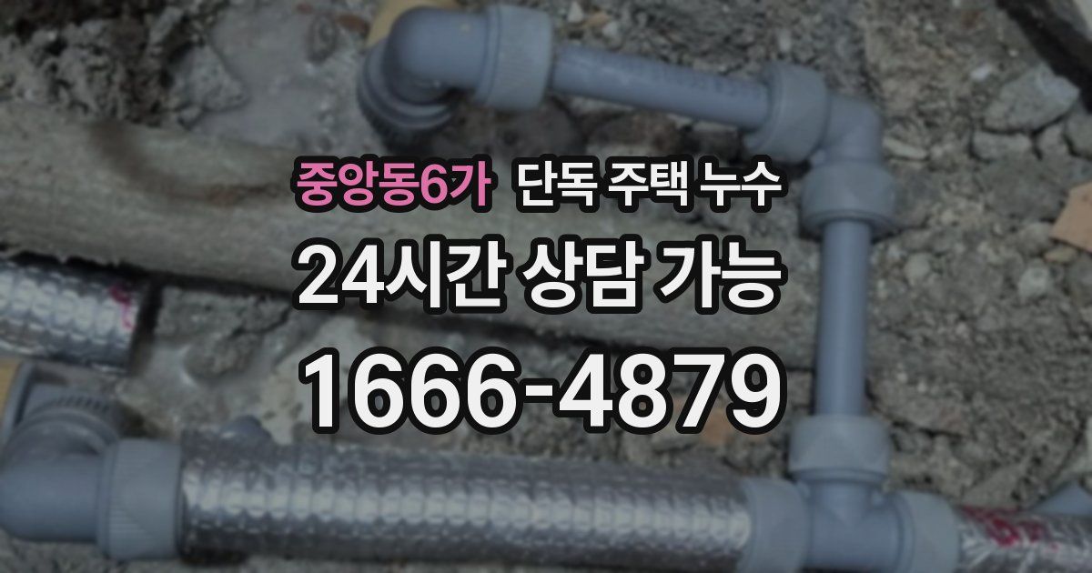 중앙동6가 단독 주택 누수