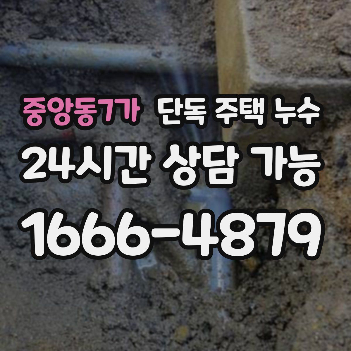 중앙동7가 단독 주택 누수