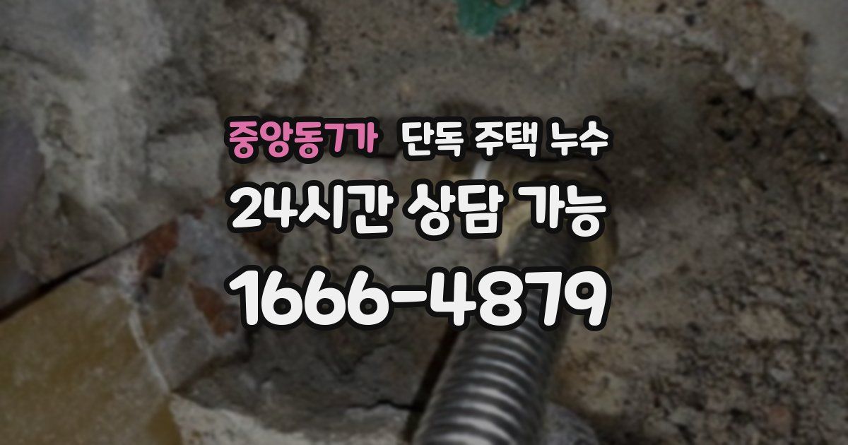 중앙동7가 단독 주택 누수
