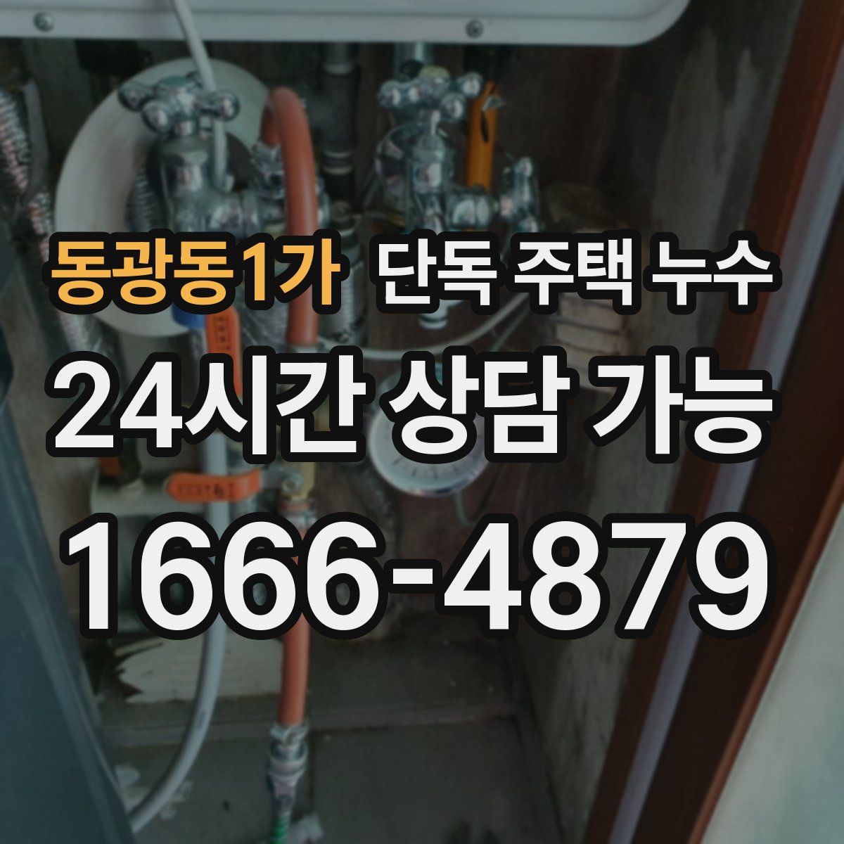 동광동1가 단독 주택 누수