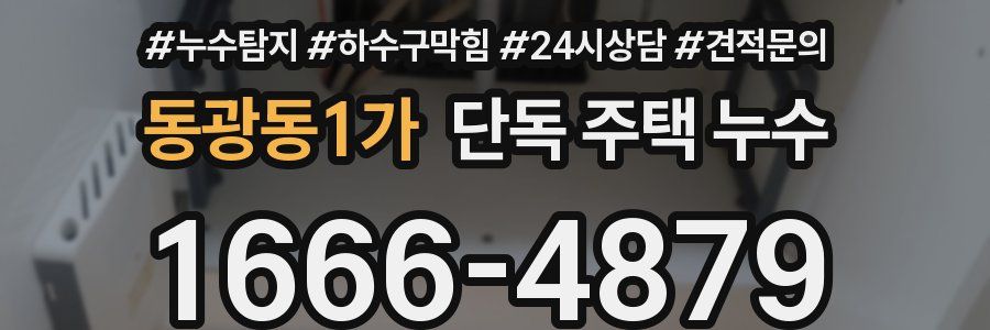 동광동1가 단독 주택 누수