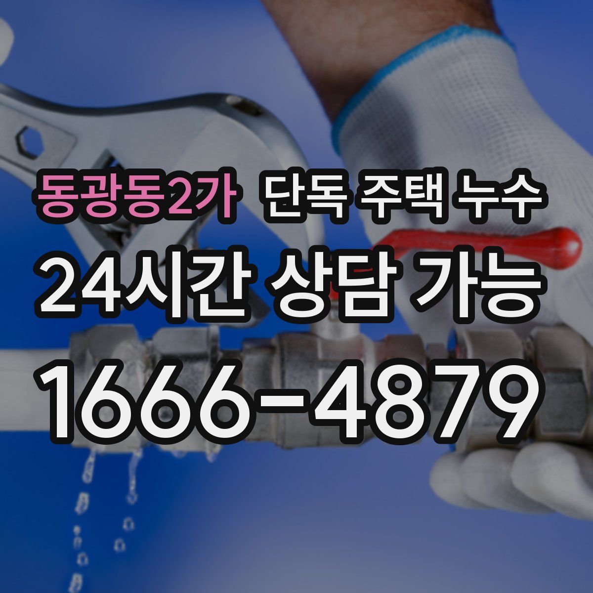 동광동2가 단독 주택 누수