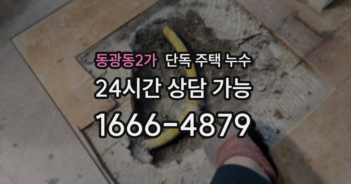 동광동2가 단독 주택 누수