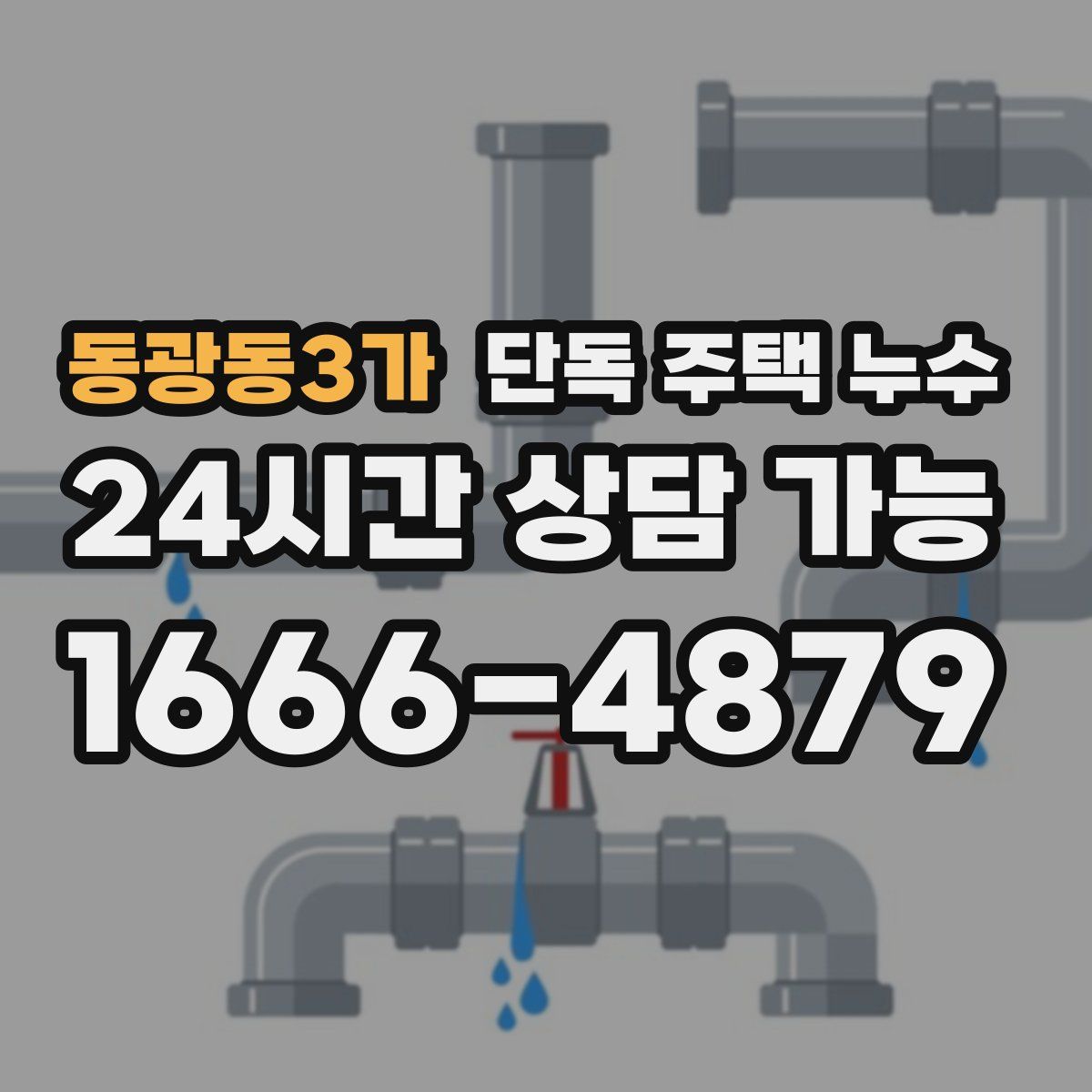 동광동3가 단독 주택 누수