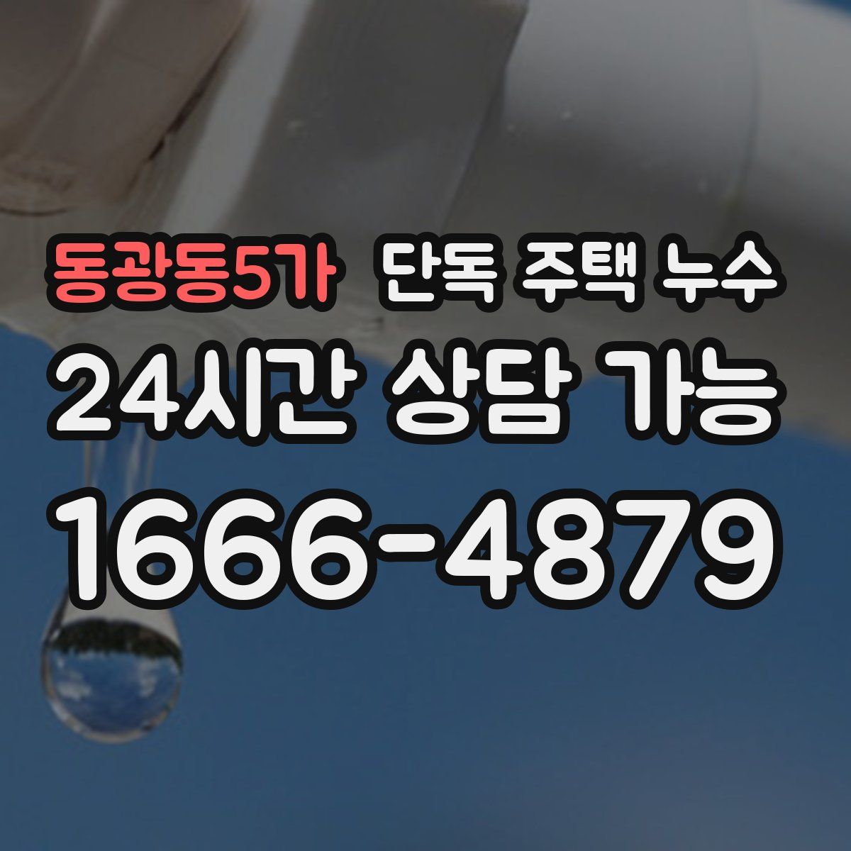 동광동5가 단독 주택 누수