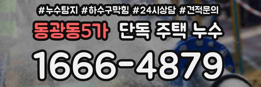 동광동5가 단독 주택 누수