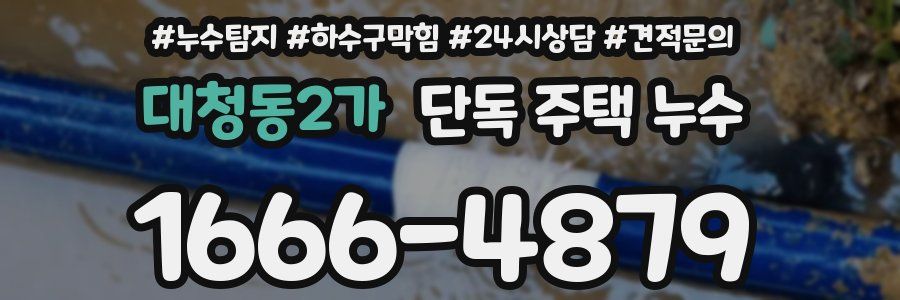 대청동2가 단독 주택 누수