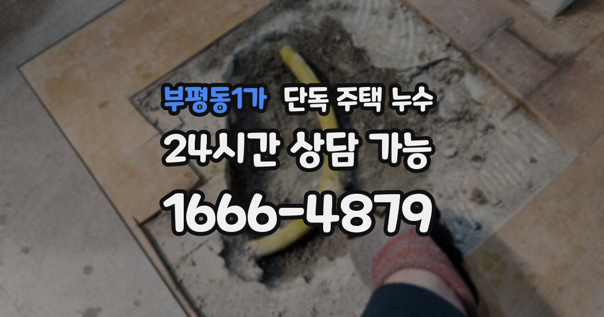 부평동1가 단독 주택 누수