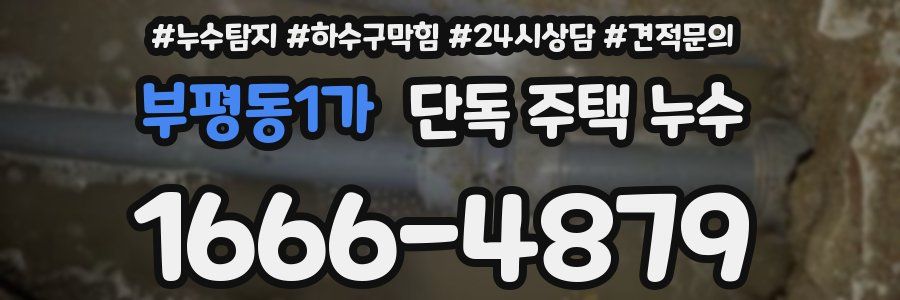 부평동1가 단독 주택 누수