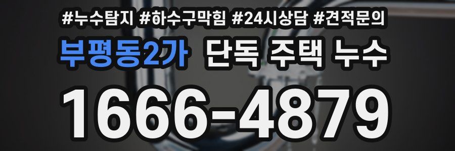 부평동2가 단독 주택 누수