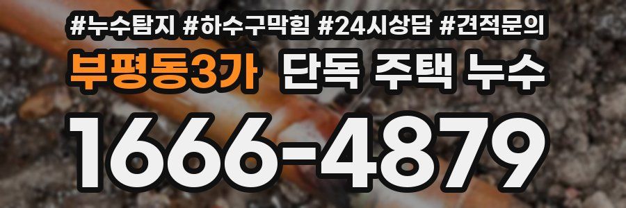 부평동3가 단독 주택 누수