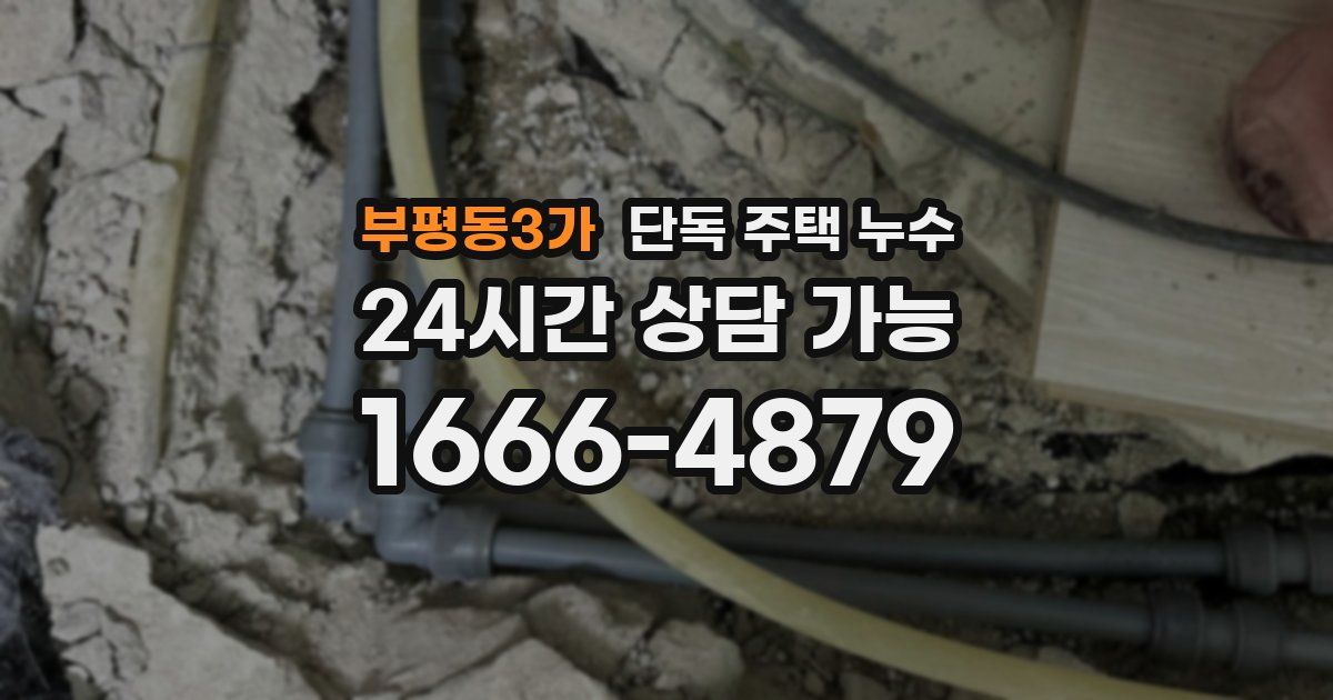 부평동3가 단독 주택 누수