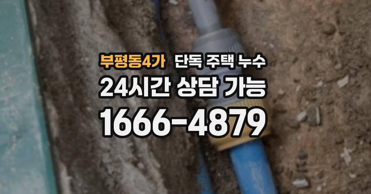 부평동4가 단독 주택 누수
