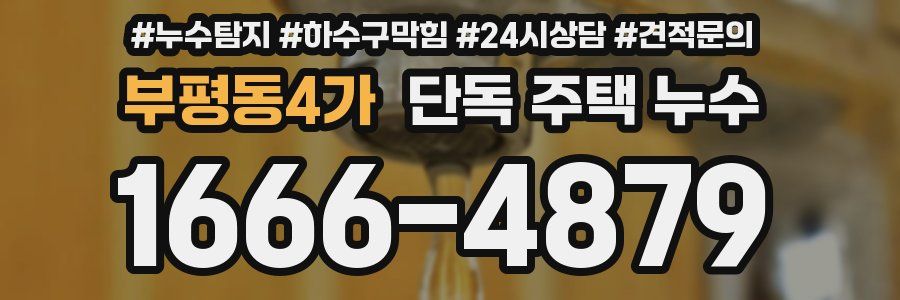 부평동4가 단독 주택 누수