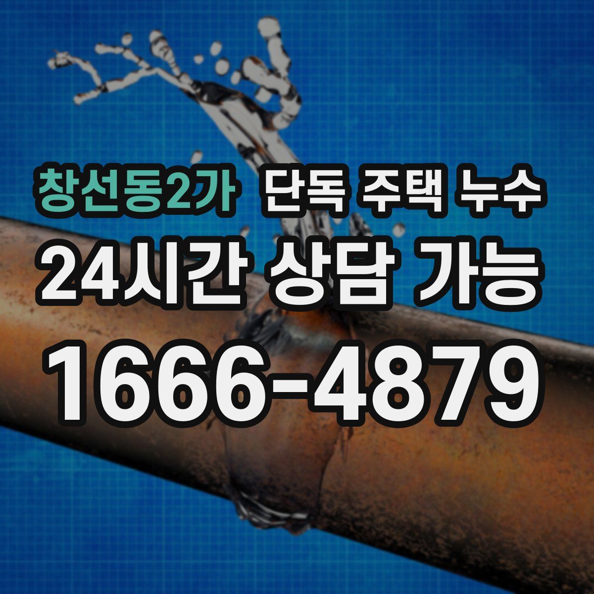 창선동2가 단독 주택 누수