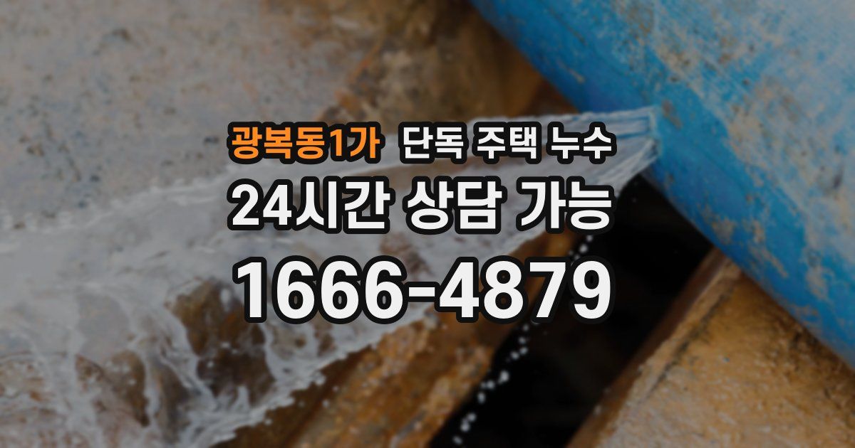 광복동1가 단독 주택 누수