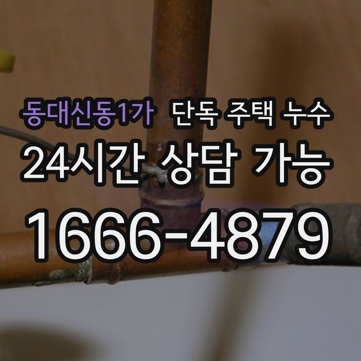 동대신동1가 단독 주택 누수