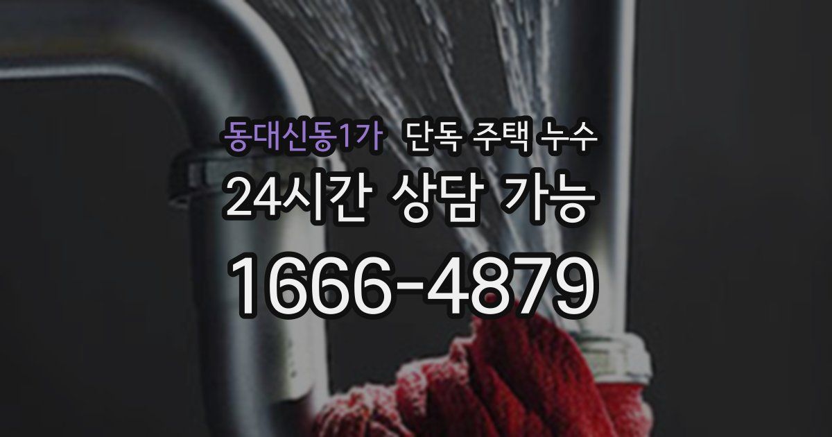 동대신동1가 단독 주택 누수