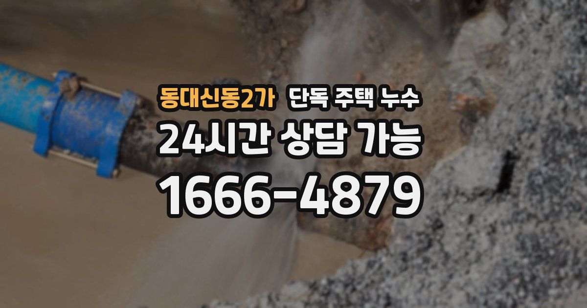 동대신동2가 단독 주택 누수