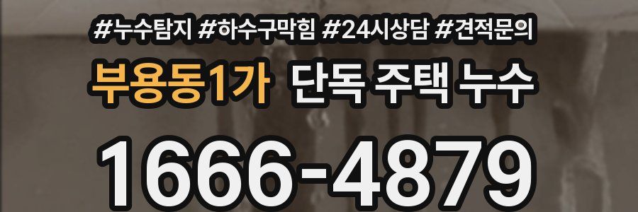 부용동1가 단독 주택 누수