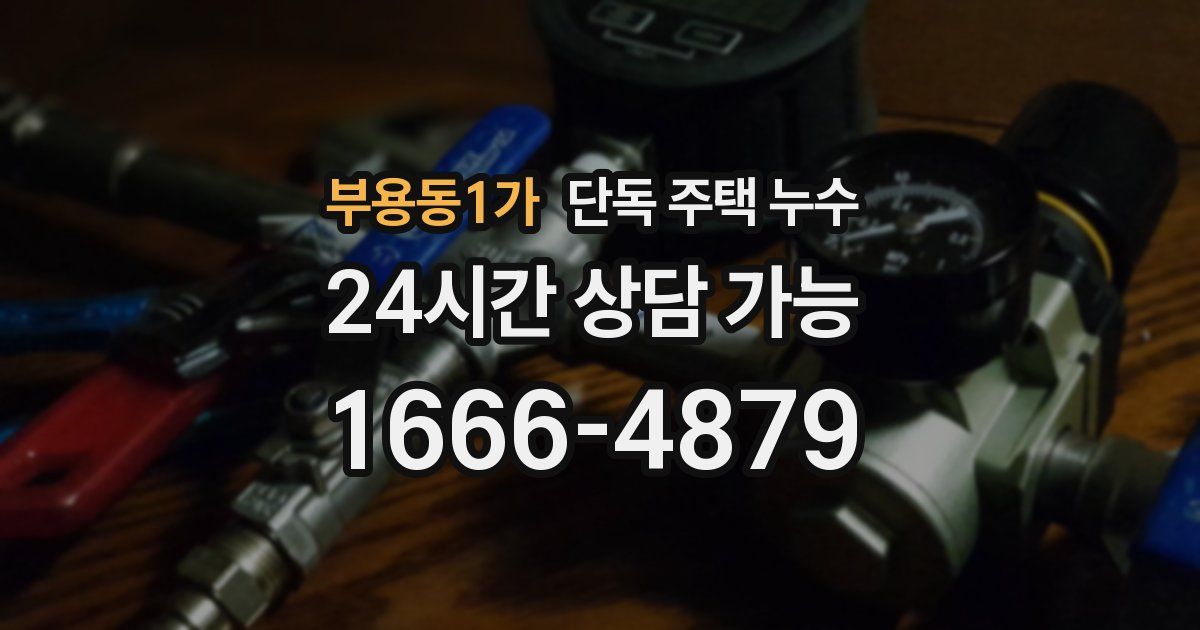 부용동1가 단독 주택 누수