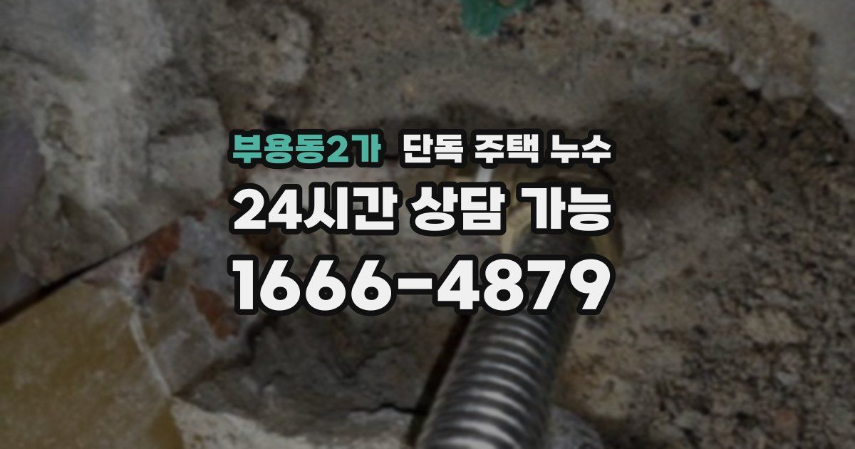 부용동2가 단독 주택 누수