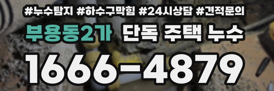 부용동2가 단독 주택 누수