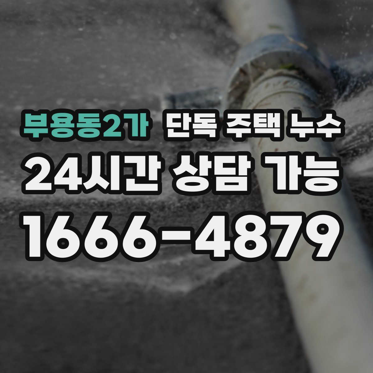 부용동2가 단독 주택 누수