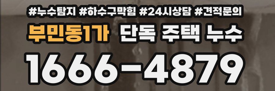 부민동1가 단독 주택 누수