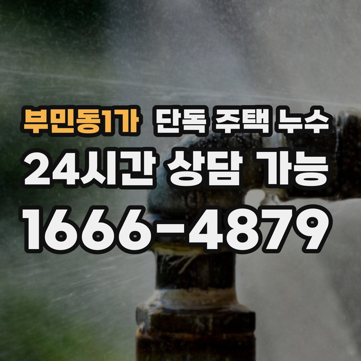 부민동1가 단독 주택 누수