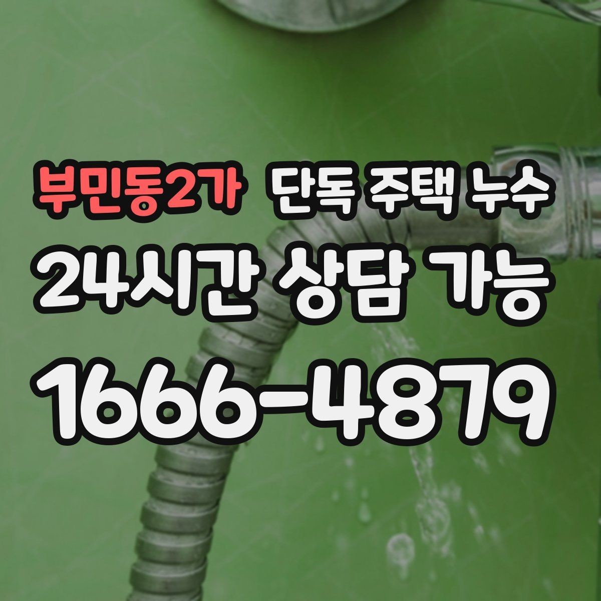 부민동2가 단독 주택 누수 장판 아래 물기가 빠지지 않을 때