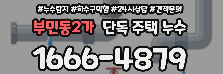 부민동2가 단독 주택 누수