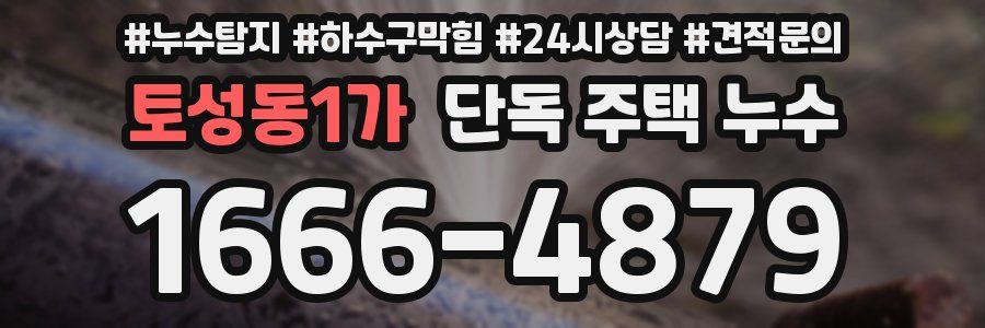 토성동1가 단독 주택 누수