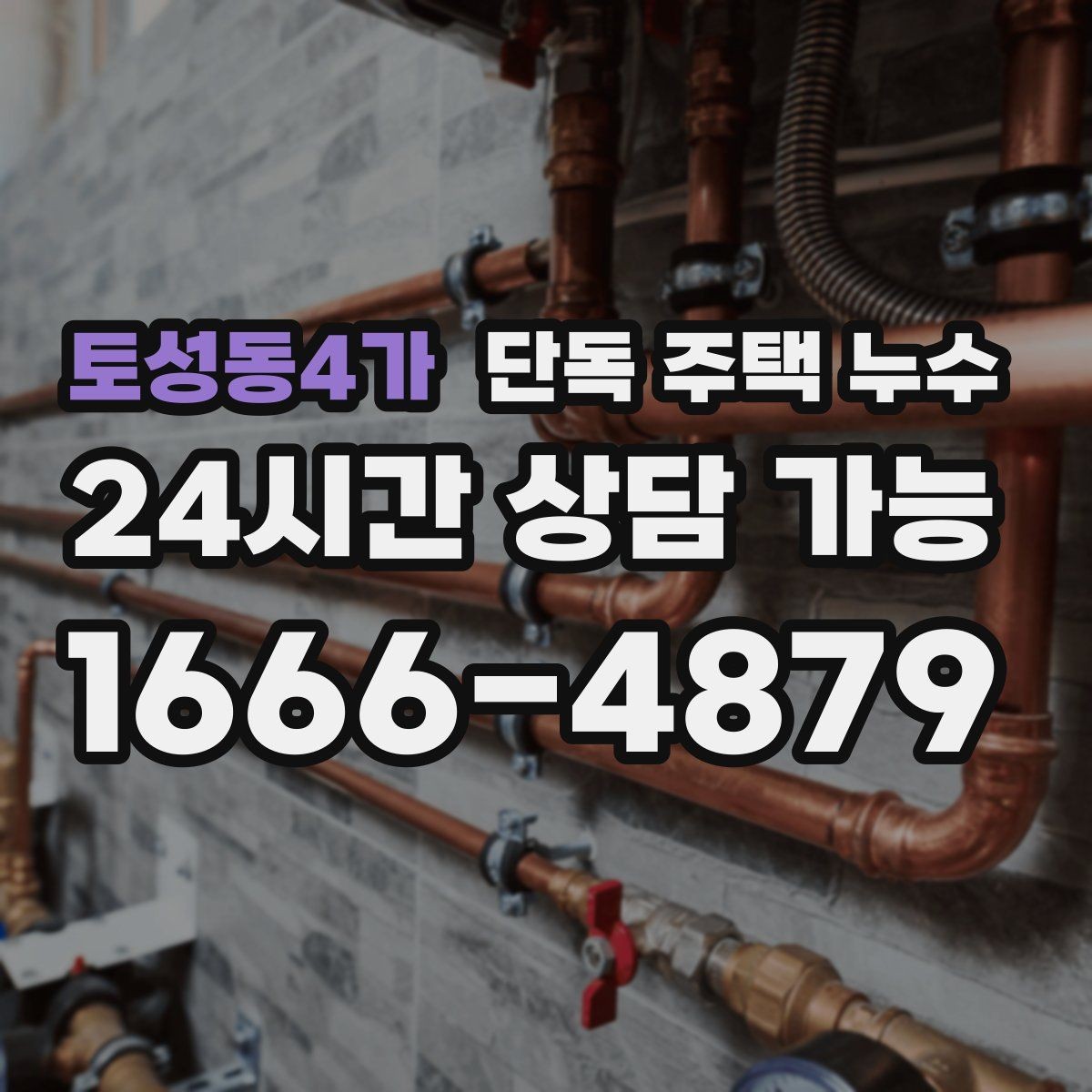토성동4가 단독 주택 누수 곰팡이 냄새가 진해질 때 원인 찾기
