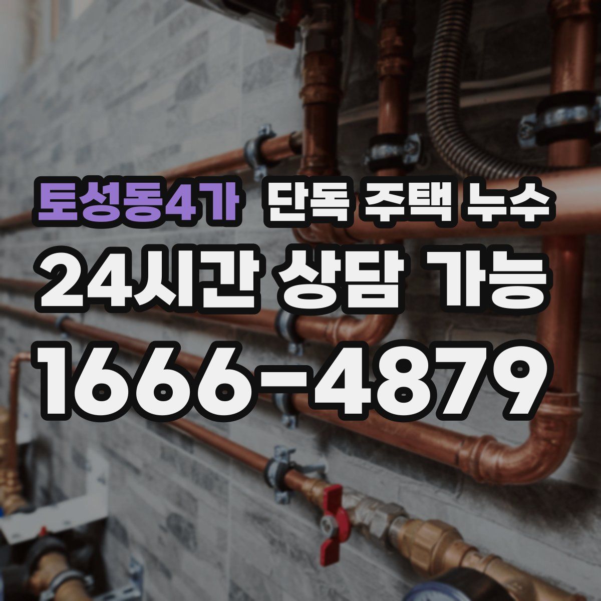 토성동4가 단독 주택 누수