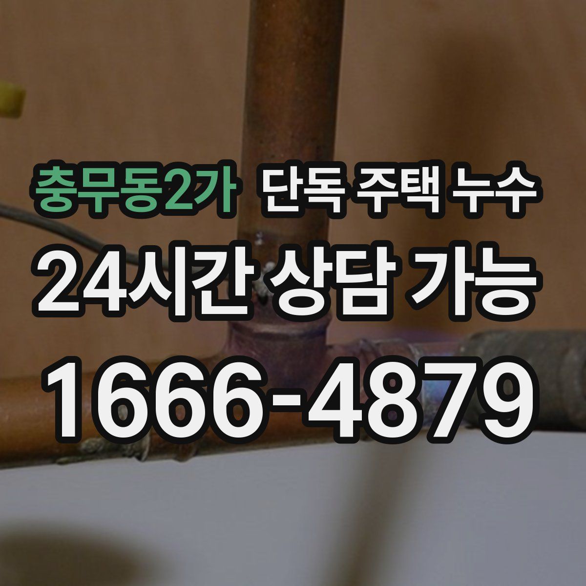 충무동2가 단독 주택 누수