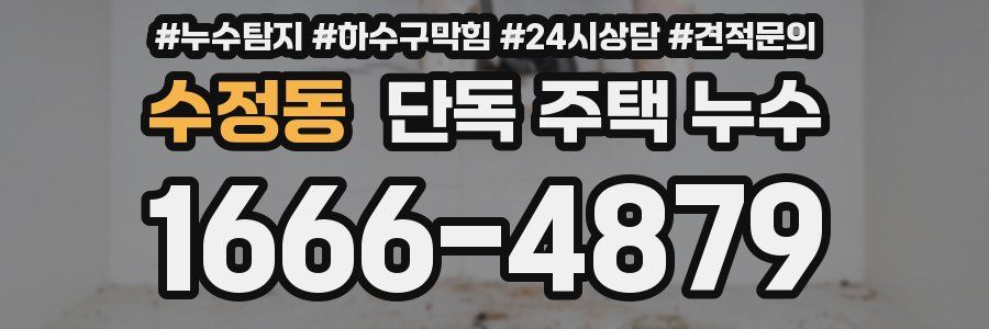 수정동 단독 주택 누수