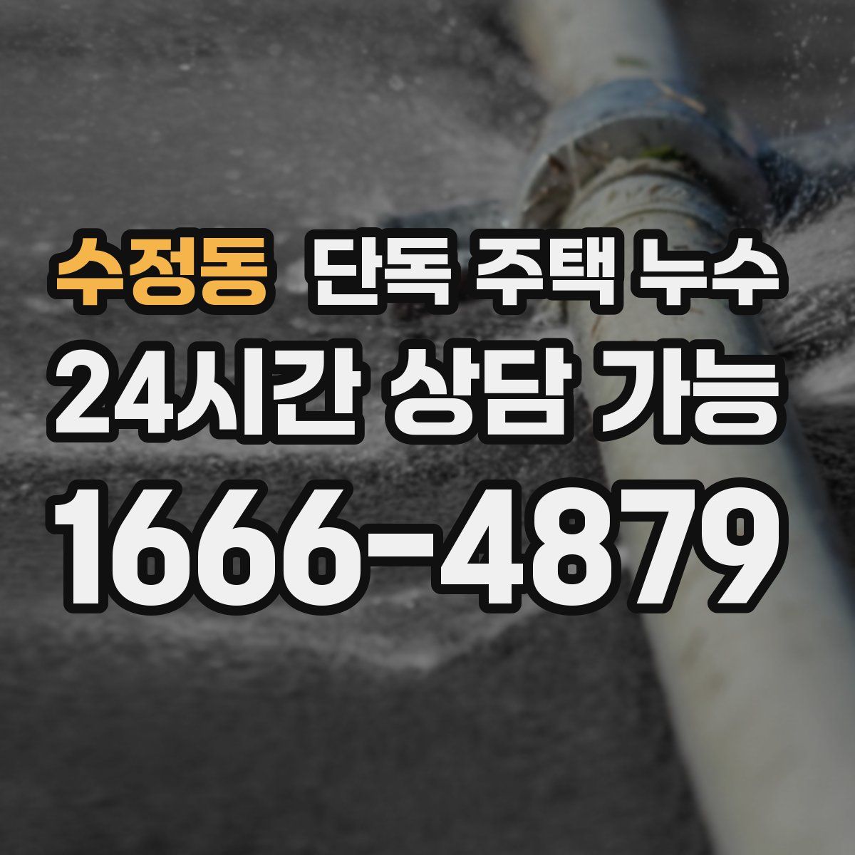 수정동 단독 주택 누수