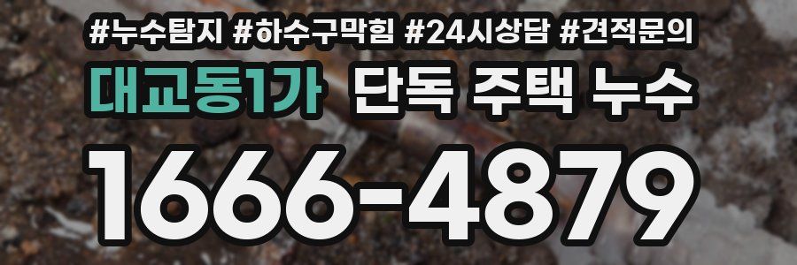 대교동1가 단독 주택 누수