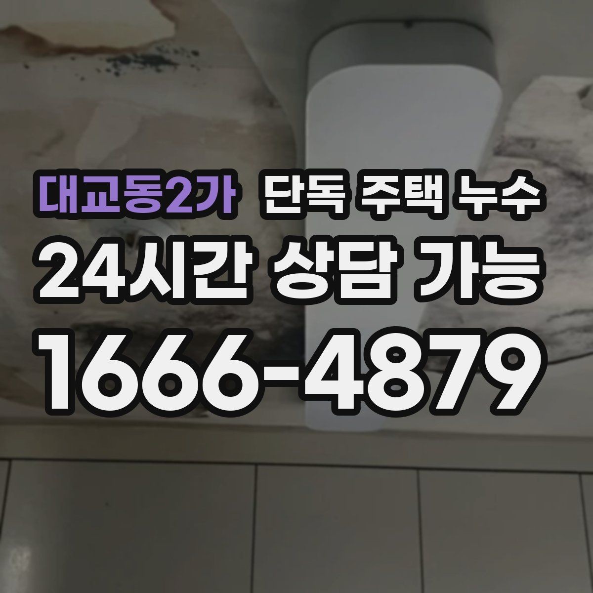대교동2가 단독 주택 누수 욕실 바닥 경사 불량이 의심되는 증상