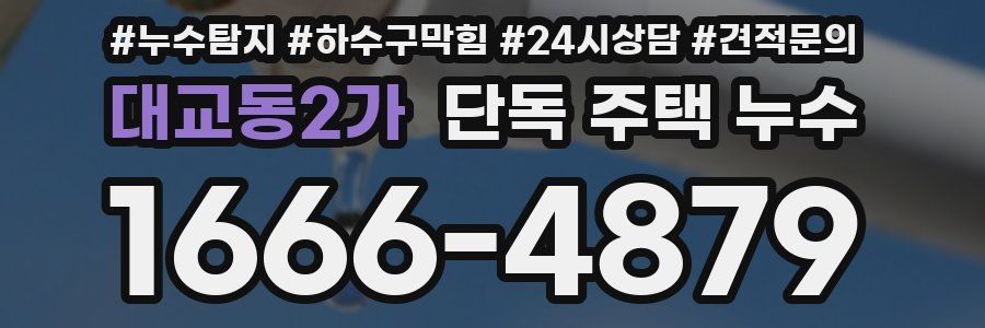 대교동2가 단독 주택 누수