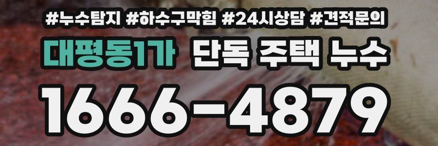 대평동1가 단독 주택 누수