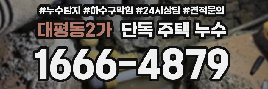 대평동2가 단독 주택 누수