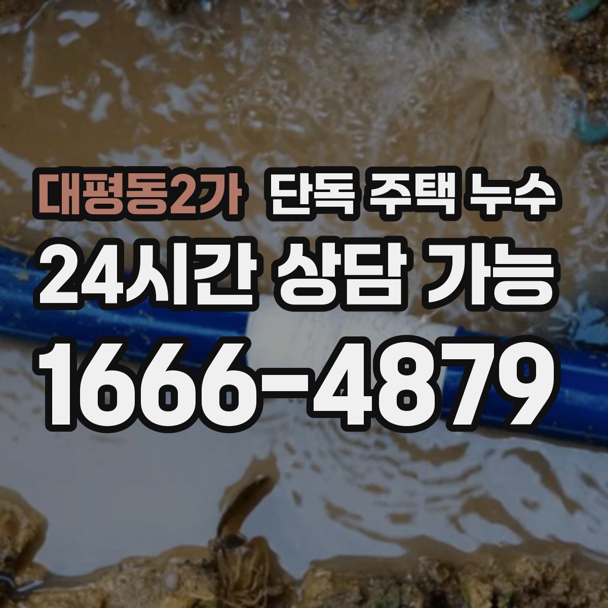 대평동2가 단독 주택 누수