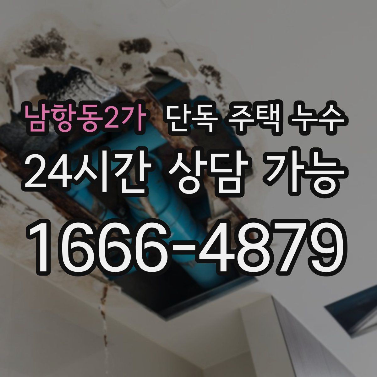 남항동2가 단독 주택 누수 평소에도 젖으면 체크해야 할 지점