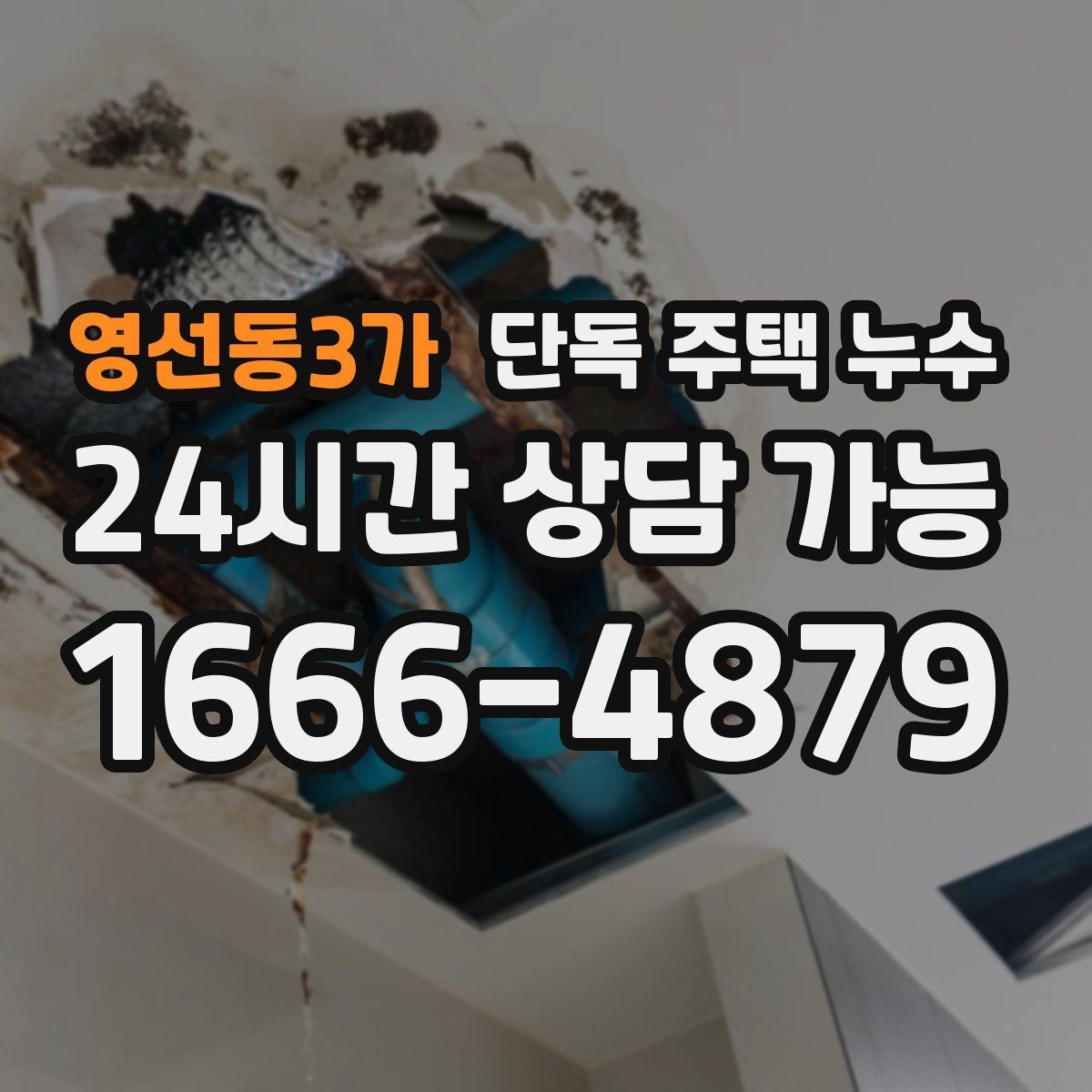 영선동3가 단독 주택 누수 거실만 젖는다면 지붕 가능성부터 점검