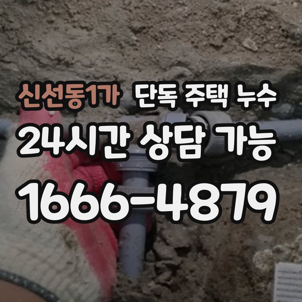 신선동1가 단독 주택 누수