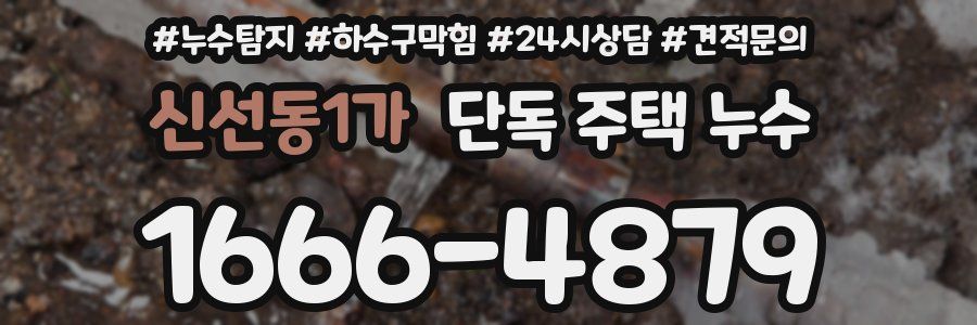 신선동1가 단독 주택 누수