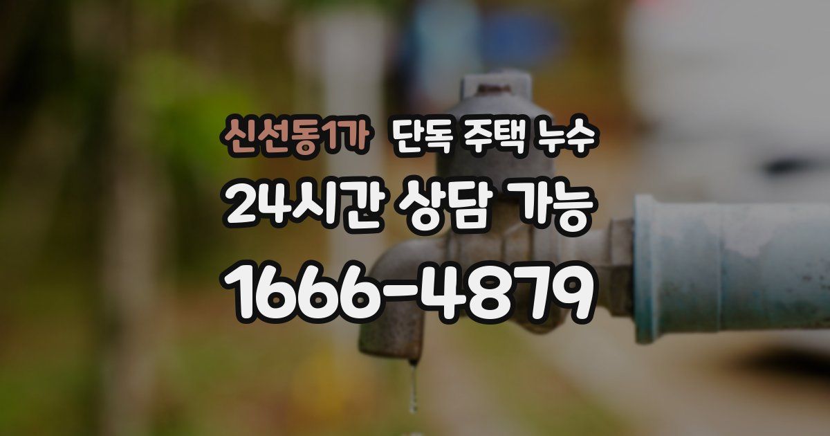 신선동1가 단독 주택 누수
