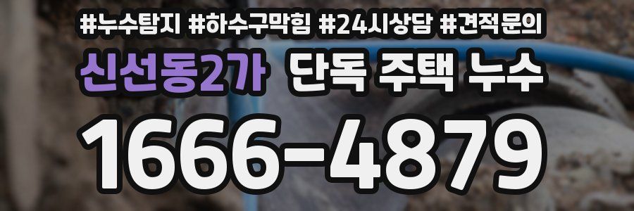 신선동2가 단독 주택 누수
